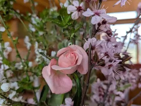 Gîte Familial à Riotord avec Jardin et Aire de Jeux - Photo 24