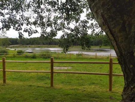 Évasion champêtre : Maison avec piscine, tennis, et étang au cœur de 50 hectares de forêt - Photo 6