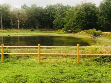 Évasion champêtre : Maison avec piscine, tennis, et étang au cœur de 50 hectares de forêt - Photo 22
