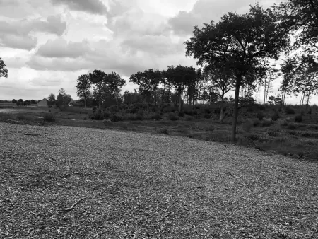 Évasion champêtre : Maison avec piscine, tennis, et étang au cœur de 50 hectares de forêt - Photo 26