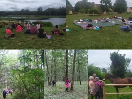 Évasion champêtre : Maison avec piscine, tennis, et étang au cœur de 50 hectares de forêt - Photo 29
