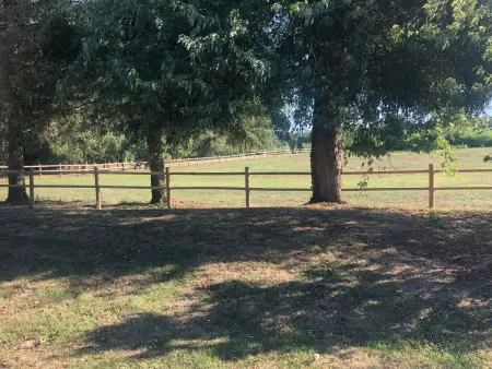 Évasion champêtre : Maison avec piscine, tennis, et étang au cœur de 50 hectares de forêt - Photo 31