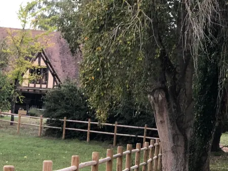 Évasion champêtre : Maison avec piscine, tennis, et étang au cœur de 50 hectares de forêt - Photo 32