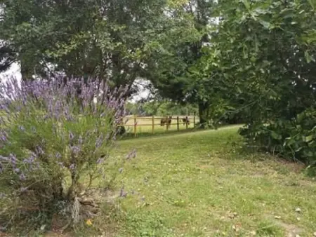 Évasion champêtre : Maison avec piscine, tennis, et étang au cœur de 50 hectares de forêt - Photo 33