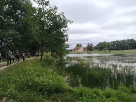 Évasion champêtre : Maison avec piscine, tennis, et étang au cœur de 50 hectares de forêt - Photo 34