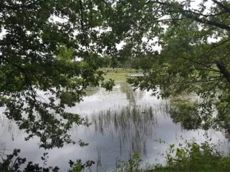 Évasion champêtre : Maison avec piscine, tennis, et étang au cœur de 50 hectares de forêt - Photo 35