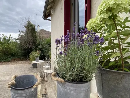 Charmante maison avec jardin en face du parc, proche commerces et attractions touristiques - Photo 19