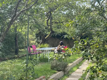 Charmante maison avec jardin en face du parc, proche commerces et attractions touristiques - Photo 22