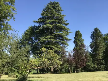 Grande maison rénovée avec piscine privée et parc, idéale pour vacances en famille en Dordogne - Photo 2