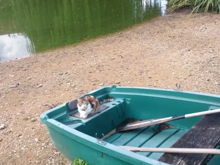 Maison de plain-pied avec jeux, coin pêche et musée du vélo à proximité - Photo 13