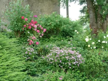 Maison de charme en pierres, 5 chambres, jardin clos, terrasse, calme, ping-pong, proche loisirs. - Photo 5