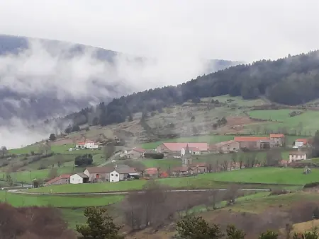 Gîte 10 pers avec 4 chambres et 3 salles d'eau, animaux admis - Photo 26