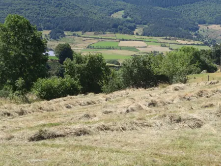 Gîte 10 pers avec 4 chambres et 3 salles d'eau, animaux admis - Photo 28