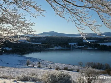 Maison en pierres avec terrain près du Massif du Mézenc, idéale pour un séjour nature en famille - Photo 11