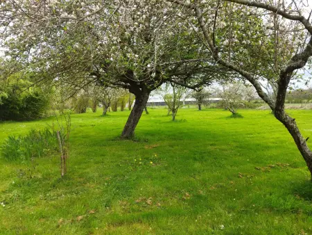 Gîte au calme avec verger, à proximité de randonnées et sites culturels - Photo 11