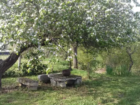 Gîte au calme avec verger, à proximité de randonnées et sites culturels - Photo 12