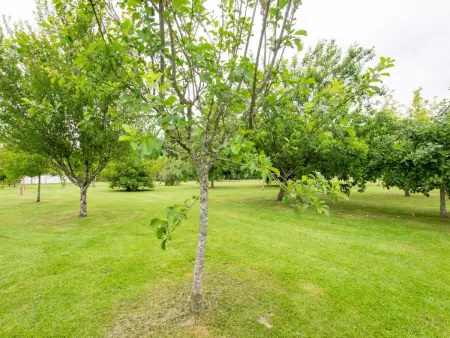 Gîte de charme avec jardin près de Bergerac, Gite 6 personnes à Saint Germain et Mons - Photo 15