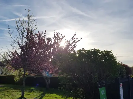 Maison de camp. plain-pied avec jardin, 2 chambres, terrasse couverte, proche Gérardmer et Saint-Dié - Photo 14