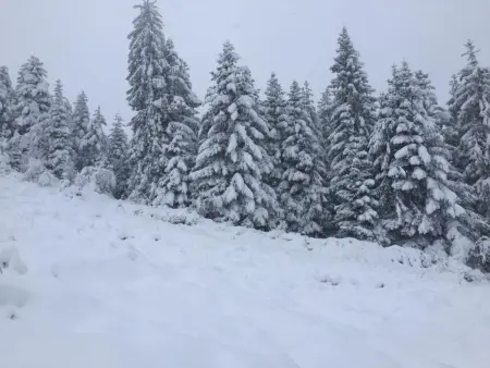 Gîte spacieux 10 pers à Vagney - Sauna, jeux, proche Gérardmer - Photo 32