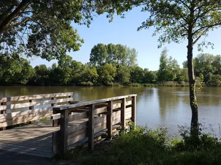 Gîte de Charme avec Jardin Privé près de Nantes, Accès Facile, Équipé Tout Confort - Photo 12