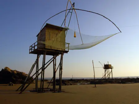 Charmant Gîte Familial à 30m de la Plage avec Cour Fleurie, Proche Commerces et Pêche à Pied - Photo 11