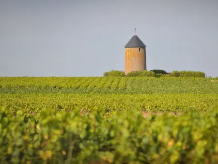 Gîte rénové avec terrasse et jardin à Clisson, proche gare, commerces, restaurants et vignoble nantais - Photo 8