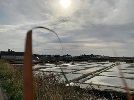 Charmante maison rénovée au calme avec jardin privatif, à 500m des plages et proche commerces - Photo 31