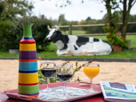 Maison de Campagne Spacieuse avec Piscine Privée et Jardin Clos - Photo 16