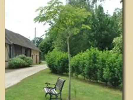 Gîte rénové en campagne, 3 ch., terrain 5000m², proche randonnées et Le Mans ! - Photo 4
