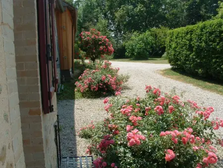 Gîte rénové en campagne, 3 ch., terrain 5000m², proche randonnées et Le Mans ! - Photo 6