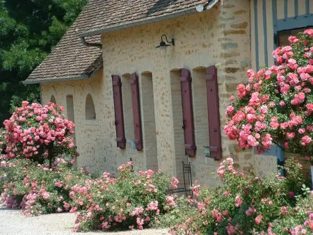 Gîte rénové en campagne, 3 ch., terrain 5000m², proche randonnées et Le Mans ! - Photo 7