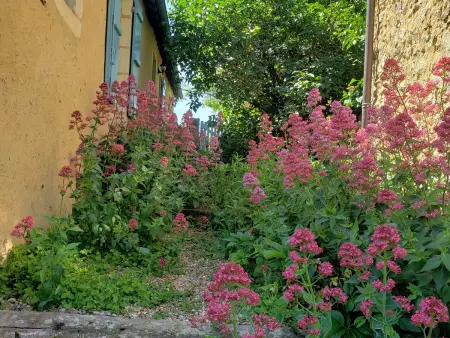 Charmante maison paysanne rénovée avec grand terrain, proche de la rivière et du village médiéval - Photo 12