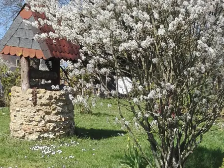 Maison en bois avec jardin, idéal randonnée, fibre haut débit, équipements bébé près du Mans et Tours - Photo 14