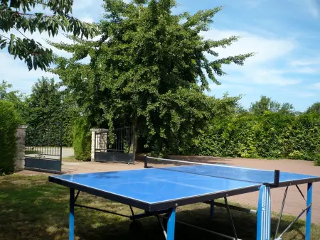 Manoir de charme avec jardin, salle de jeux et proche du Mans (25 min) - Photo 3