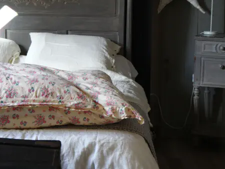 Maison de campagne bucolique près du Mans, Gite 7 personnes à Louplande - Photo 13