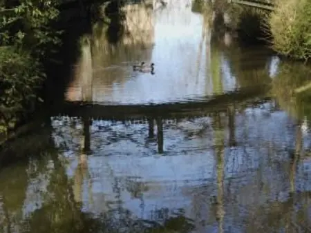 Gîte charmant avec piscine chauffée, tennis et jardin près de Beaumont-sur-Sarthe - Photo 10