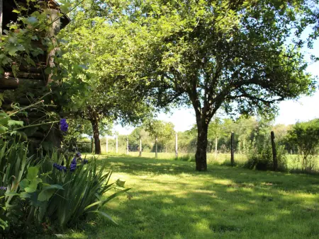 Maison de campagne avec grand jardin, cheminée, vélos et wifi à Berfay - Photo 1