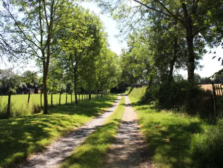 Maison de campagne avec grand jardin, cheminée, vélos et wifi à Berfay - Photo 4
