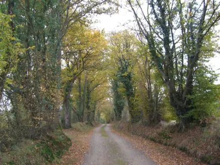Maison de campagne avec grand jardin, cheminée, vélos et wifi à Berfay - Photo 5