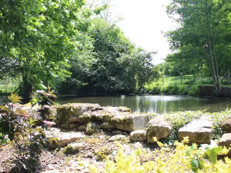 Charmant gîte près du Mans : calme, confort, commerces à proximité, idéal pour 2 pers. - Photo 12