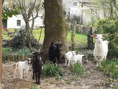 Charmant gîte près du Mans : calme, confort, commerces à proximité, idéal pour 2 pers. - Photo 18