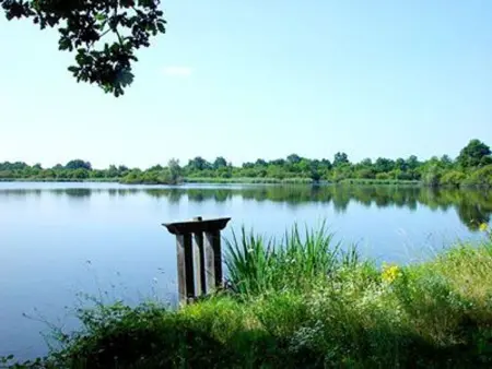 Maison avec jardin, proche centre-ville et sites touristiques - Photo 7