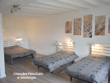 Grande maison familiale avec jardin, terrasse et équipements de loisirs, proche forêt de la Charnie - Photo 13