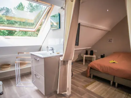 Gîte de charme avec SPA et cheminée, près du Mans, 7 chambres, WIFI, en bord de forêt de Vibraye - Photo 22