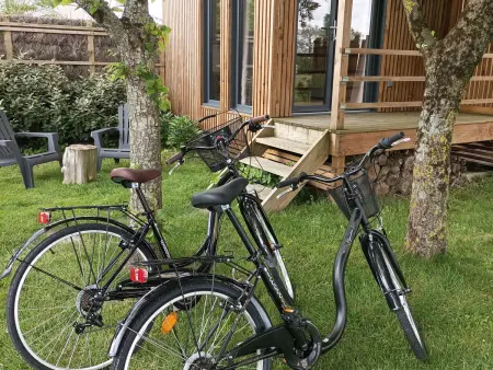Cabane au cœur du Vignoble Nantais avec piscine privative chauffée - Photo 12