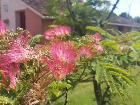 Gîte en campagne rénové avec cheminée, grands jardins, WiFi, près d'un village médiéval. - Photo 14