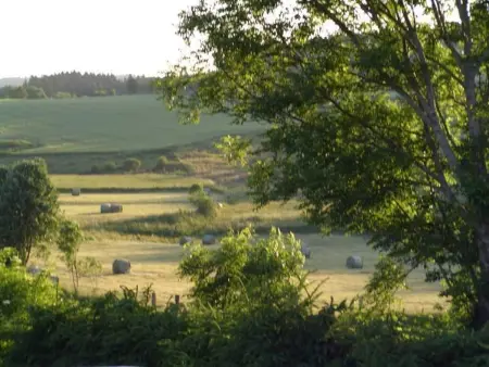 Gîte familial au calme avec jeux, VTT, randonnée, près du Parc Livradois, La Chaise-Dieu et Craponne - Photo 17