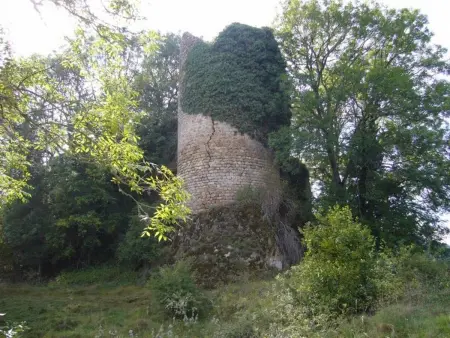 Gîte chaleureux entre festivals, nature et confort avec wifi à Jullianges - Photo 13