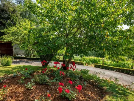 Maison Périgourdine avec Jardin, Terrasse et Accès Wifi à 3.5 km des Eyzies de Tayac - Photo 13