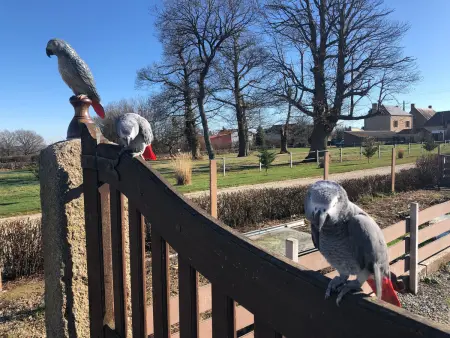 Maison de charme en Berry près d'un golf & spa, jardin d'hiver, vélos, animaux bienvenus - tout inclus - Photo 15